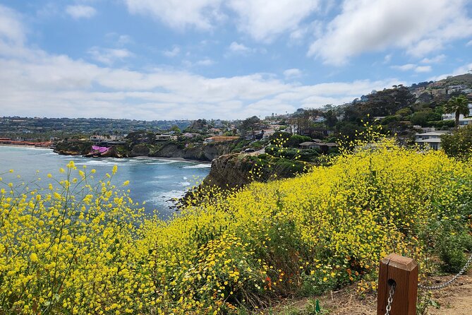 A Seaside Stroll: La Jolla's Hidden Treasures Self-Guided Tour - The Cultural Impact of Ellen Browning Scripps Park