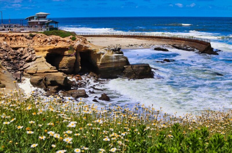 A Seaside Stroll: La Jolla's Hidden Treasures Walking Tour - Practical Tips for the La Jolla Coastal Walk
