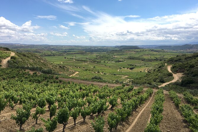 A Sip-By-Sip Tour of 3 Boutique Rioja Family Wineries (Private Tour with Lunch) - Starting Point and Transportation Details