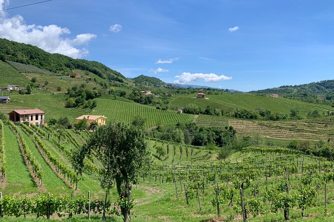 A Sparkling Day in the Prosecco Hills from Venice by Yellowboot - The Scenic Drive and Behind-the-Scenes Details