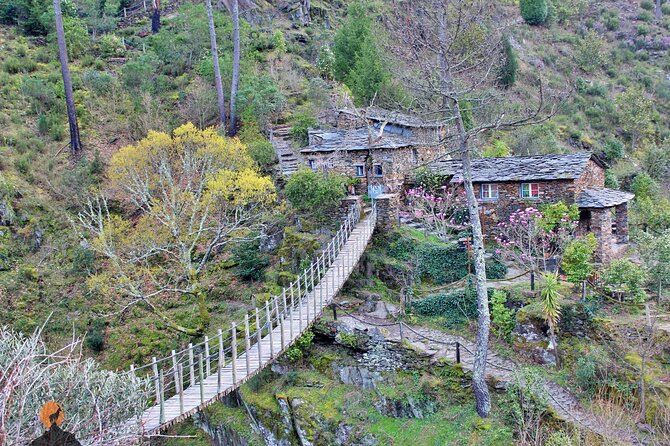 A tour between Cascades and Schist Villages, Piodão - Walk Through the Autotone Forest at Mata da Margaraca