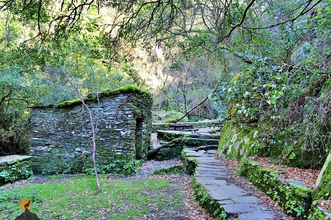 A tour between Cascades and Schist Villages, Piodão - Explore the Historic Village of Piodão