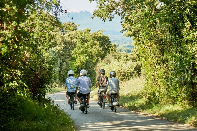 A Tour in Provence in a typical French motorized bike : the Solex - Riding Through Vineyards and Olive Groves on Chemin des Bernardins