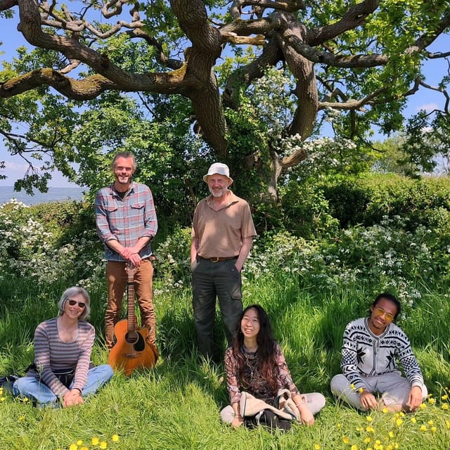 A Tour of Glastonbury - Guided by the Trees - Visiting Glastonbury’s Sacred Springs and Local Trees