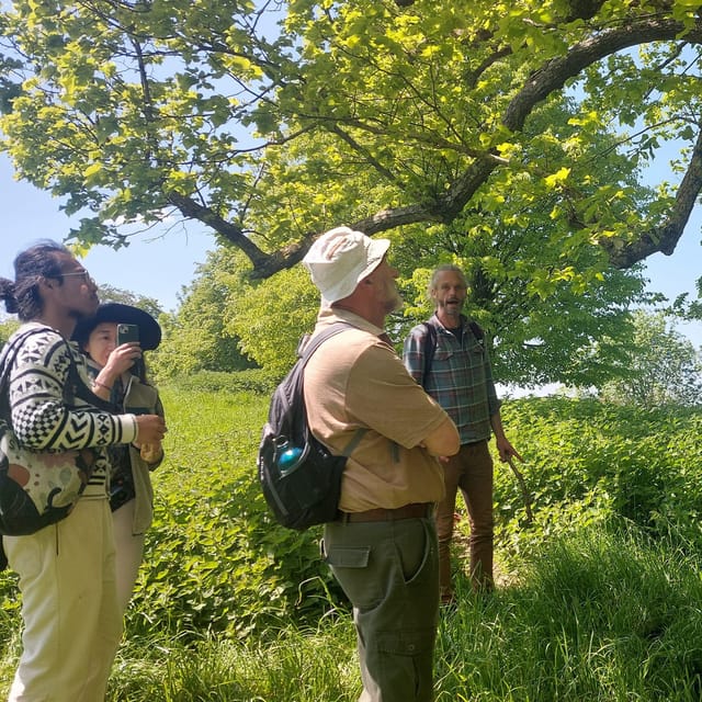 A Tour of Glastonbury - Guided by the Trees - Engaging Stories, Folk Music, and Esoteric Lore