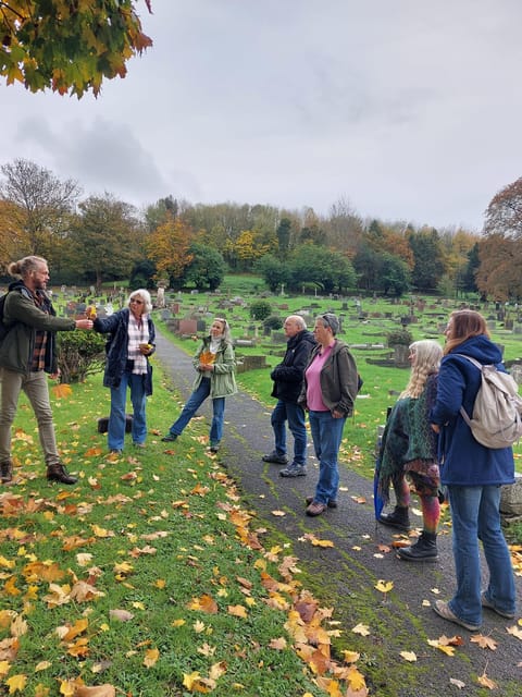 A Tour of Glastonbury - Guided by the Trees - The Value and Suitability of This Tour