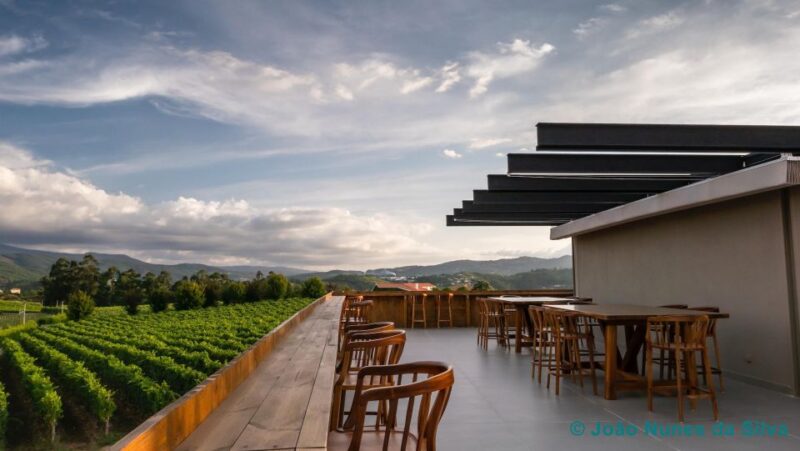 A trip through the Vinhos Verdes of the Basto Region - Discover the Unique Wines of the Basto Sub-Region for $25