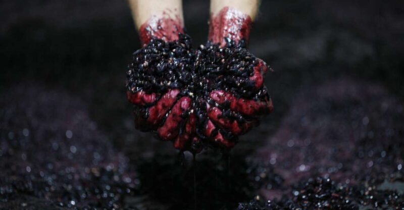 A trip through the Vinhos Verdes of the Basto Region - Key Points