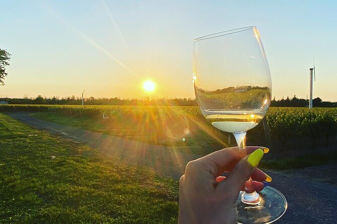 A Twilight Wine Adventure with 3-Course Dinner - What’s Included and What to Consider