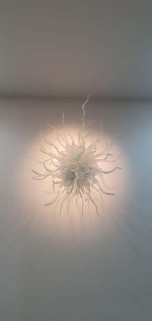 A Unique Belfast City Center Walking Tour - Key Points