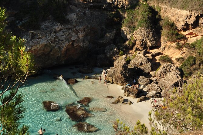 A unique experience on the Best Beaches and Coves of Mallorca - Highlighted Stops: Calo Des Moro and Cala s’Almunia