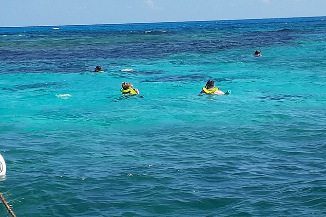A Unique Private Snorkel Tour of Key Largo - The Experience on the Water