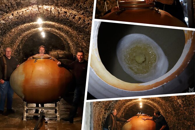 A unique sensory experience in the vineyards - Logistics and Meeting Points