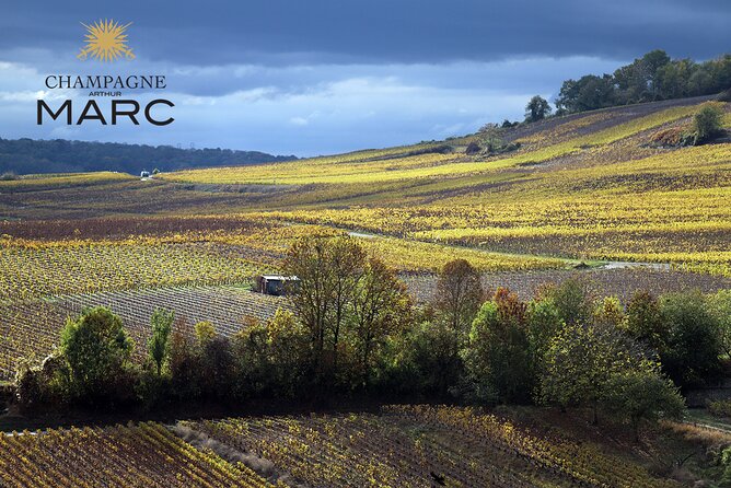 A unique sensory experience in the vineyards - Suitability and Popularity