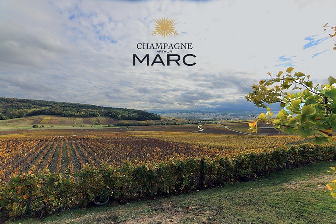 A unique sensory experience in the vineyards - The Value of a Sensory Journey