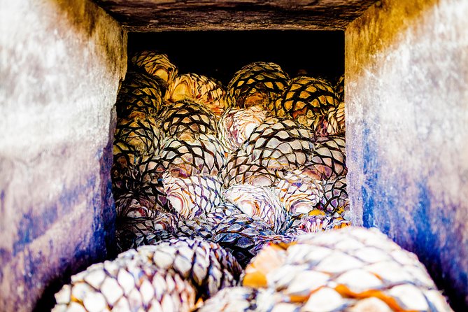 A unique tour! Visiting Hacienda Casa herradura From Guadalajara - Key Points