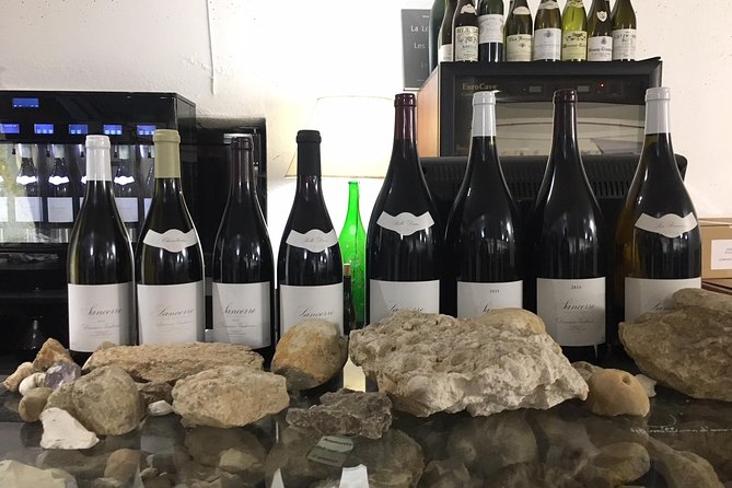 A Winey Day Out: Sauvignon Blanc Wine Tour of Sancerre and Pouilly-Fumé - Sancerre and Pouilly-Fumé: The Heart of White Wine Craftsmanship