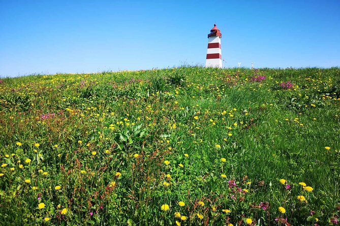 Aalesund Highlights +Alnes the most beautiful island 4H Excursion - The Magnificence of Alnes Island and Lighthouse