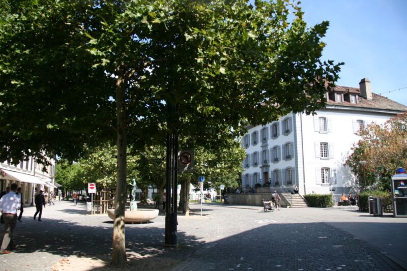 Aarau: Private Walking Tour with a Local Guide - Practicalities and Accessibility