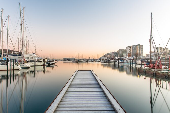 Aarhus Like a Local: Customized Private Tour - Notable Stops and Highlights from Custom Tours