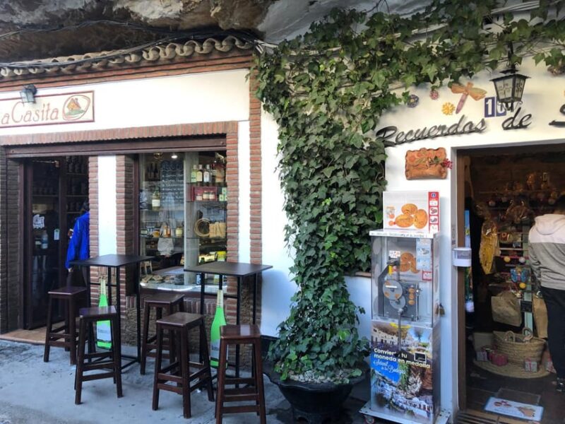 ab Mijas: Private VIP-Tour Ronda und Setenil de las Bodegas - Practical Logistics and Comfortable Transfers