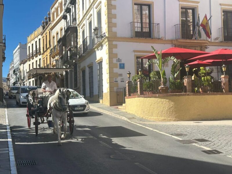 ab Mijas: Private VIP-Tour Ronda und Setenil de las Bodegas - Accessibility and What to Bring