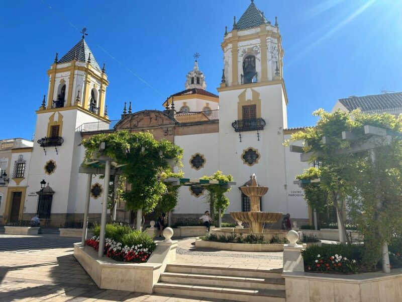 ab Mijas: Private VIP-Tour Ronda und Setenil de las Bodegas - Flexibility and Cancellation Policies