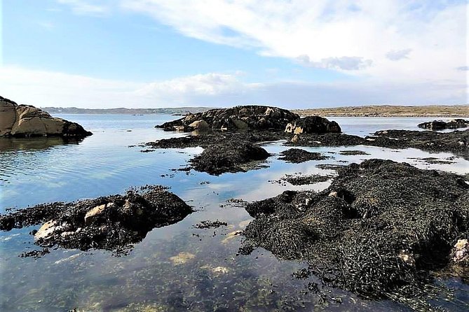 Abalone farm tour and tasting with coastal seaweed walk. Guided. 2 hours - Who Will Appreciate This Experience Most