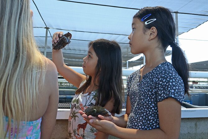 Abalone Farm Tour - Exploring a Sustainable Abalone Farm in Hawaii