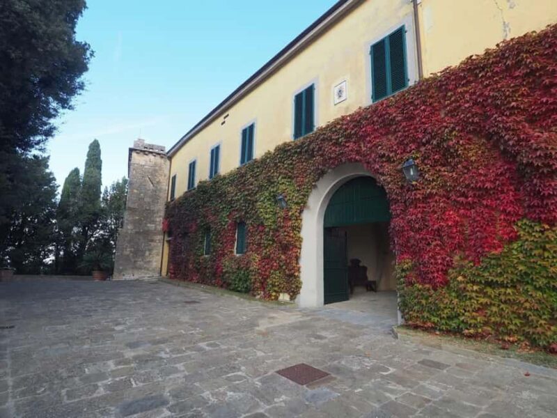 Abbey Tour, Wine Tasting & Tuscan Lunch Near Pisa - Exploring the Historic Cloisters and Silent Stonework
