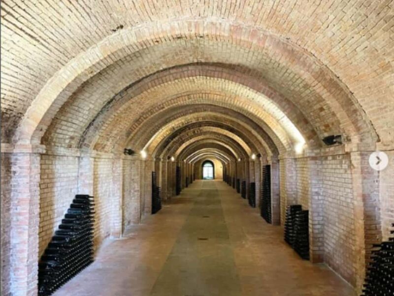 Abbey Tour, Wine Tasting & Tuscan Lunch Near Pisa - Customer Feedback and Notable Highlights