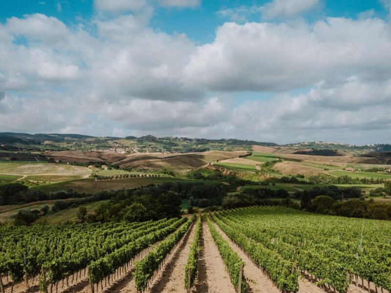 Abbey Tour, Wine Tasting & Tuscan Lunch Near Pisa - Who Will Enjoy This Tour the Most