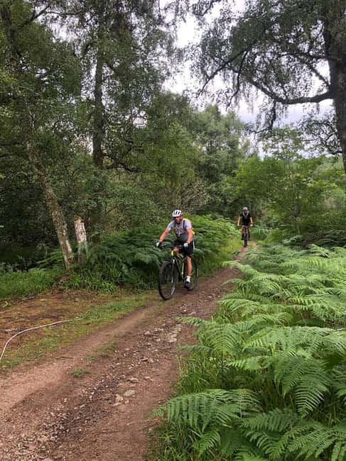 Aberdeenshire: Guided Mountain Biking Adventure - Experience the Rugged Trails of Aberdeenshire