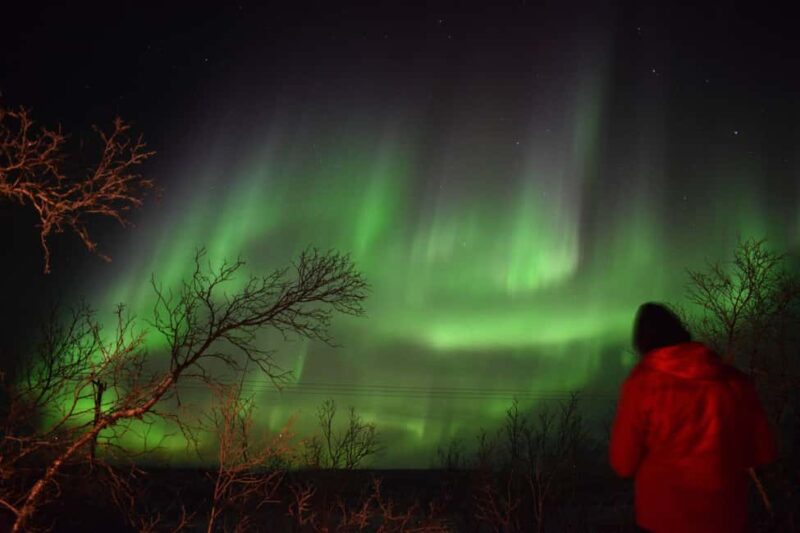 Abisko Arctic Ecology and Northern Lights Tour - Exploring the Arctic Biosphere and Snows Protective Role