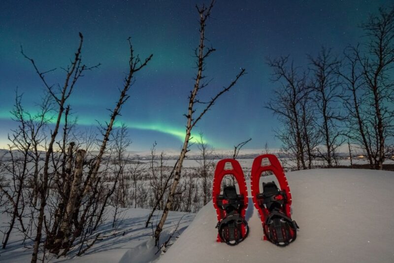 Abisko: Aurora Snowshoeing - Abisko Snowshoeing in the Arctic Wilderness