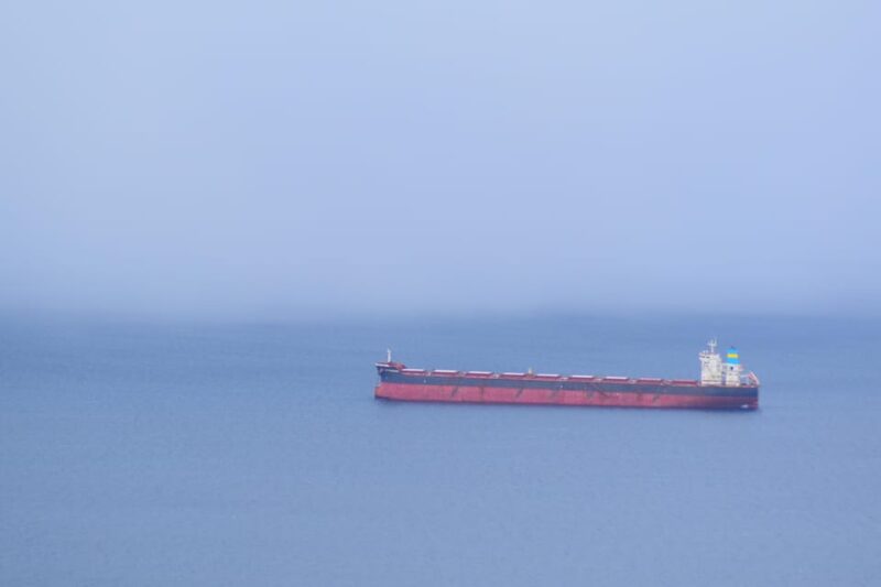 Abisko: Fjord Sightseeing and Photography Tour - Lunch Break at Narvik or Bjerkvik