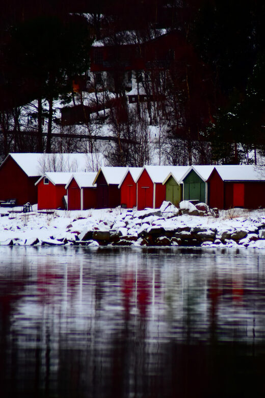 Abisko: Fjord Sightseeing and Photography Tour - The Guide and Support for Photography