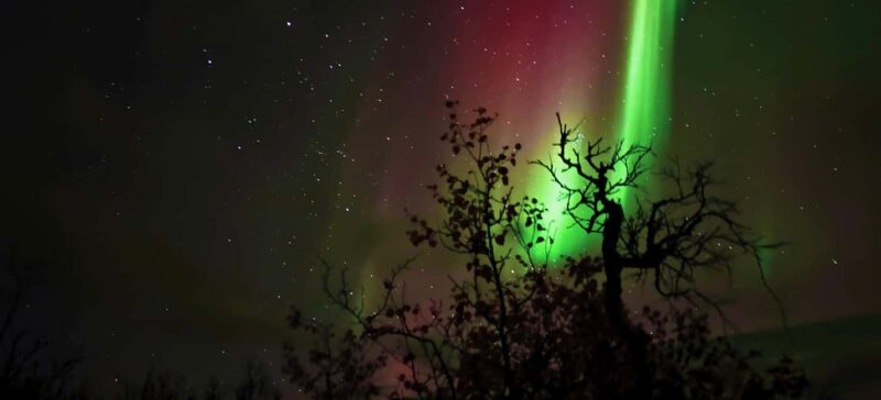 Abisko: Northern Lights Hike with Husky Puppies - Warming Up in a Sámi-Style Tipi