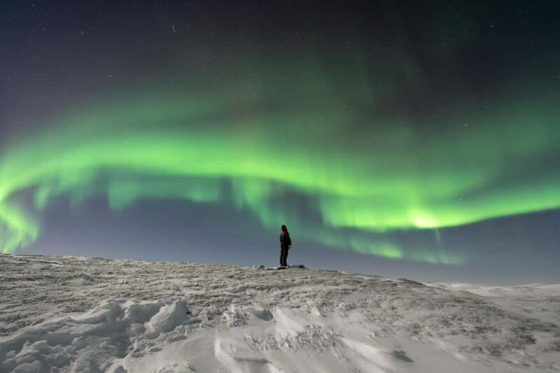 Abisko: Northern Lights Photography Tour with Dinner - Dining Experience in a Local Restaurant