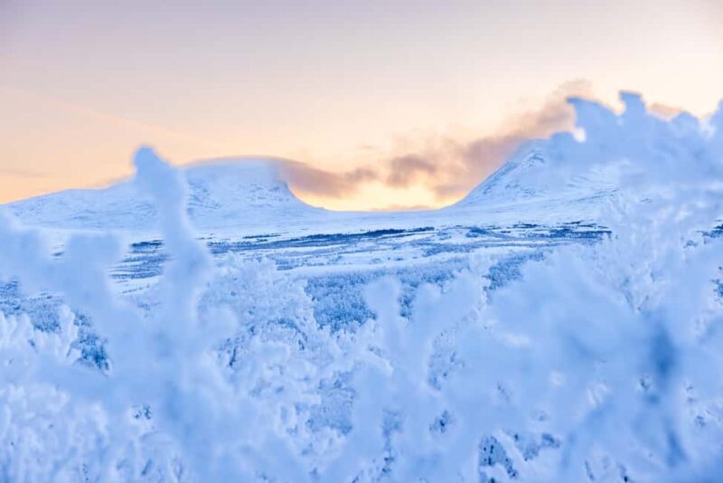 Abisko: Private Guided Hike in Abisko National Park - Discover the Private Guided Hike in Abisko National Park