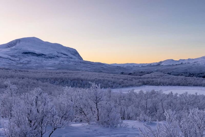 Abisko: Private Guided Hike in Abisko National Park - Meeting Points and Logistics in Abisko