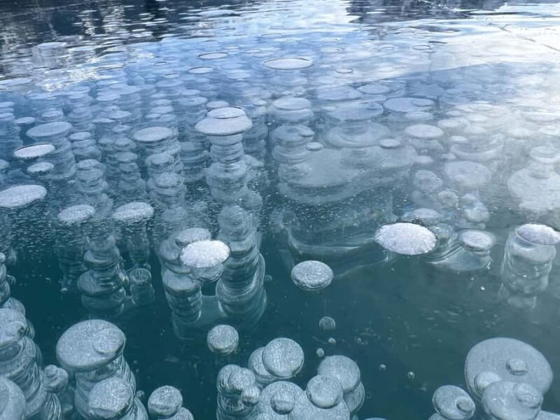 Abraham IceBubble, Peyto, Bow Lake with Snowshoeing& Icewalk - Bow Lake, Crowfoot Glacier, and Additional Stops
