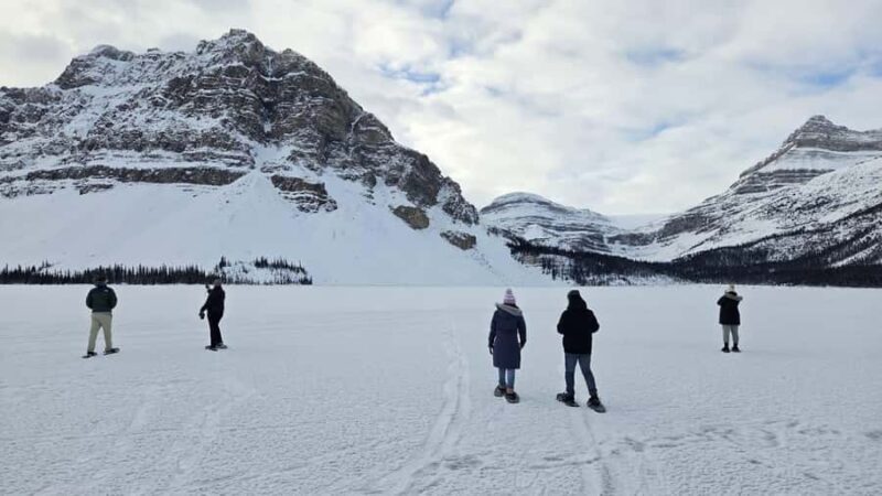 Abraham IceBubble/Sunwapta Falls, Snowshoeing Bow & Peyto - Visiting Bow and Peyto Lakes for Photo Opportunities