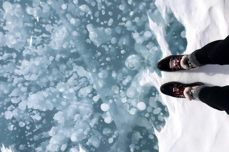 Abraham IceBubble/Sunwapta Falls, Snowshoeing Bow & Peyto - Abraham IceBubble/Sunwapta Falls, Snowshoeing Bow & Peyto: A Natural Showcase