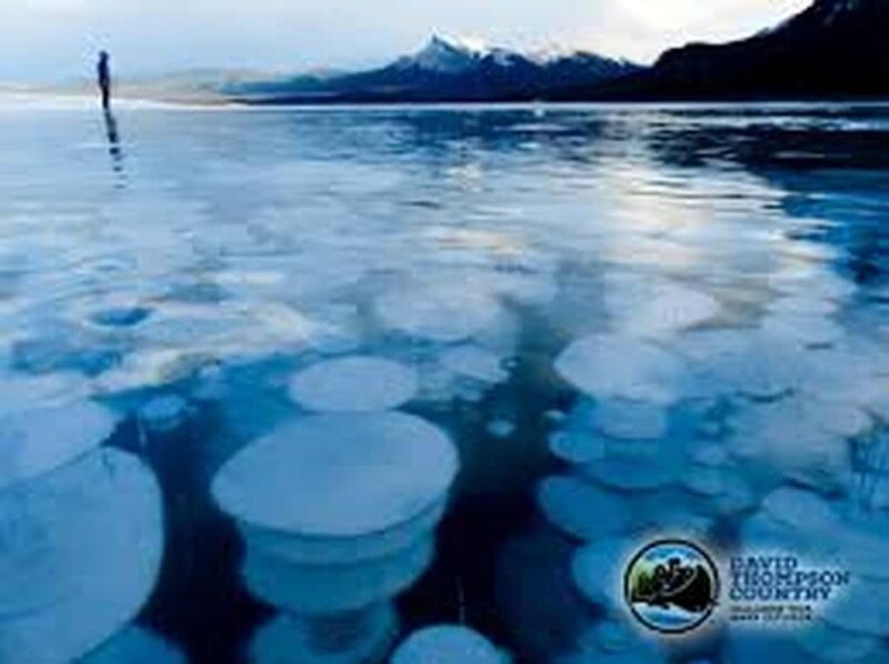 Abraham IceBubble,Bow Lake, Peyto Lake, Lake Louise Day Trip - Unique Features and Optional Add-Ons