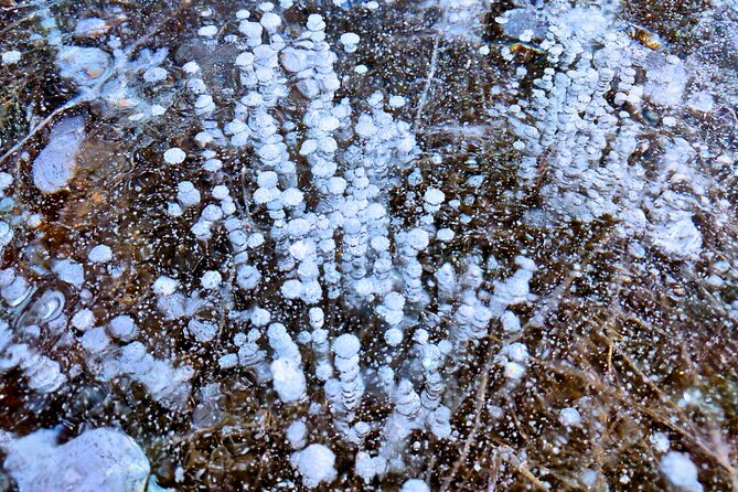 Abraham Lake (Ice bubble lake) Peyto Bow Lake Crowfoot Glacier - Booking Details, Flexibility, and Group Size