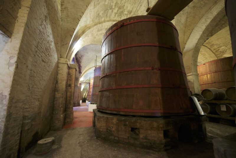 Abruzzo: Historic Cellar Wine Tour and Tasting - Meet the Guides: Knowledgeable and Multilingual Support