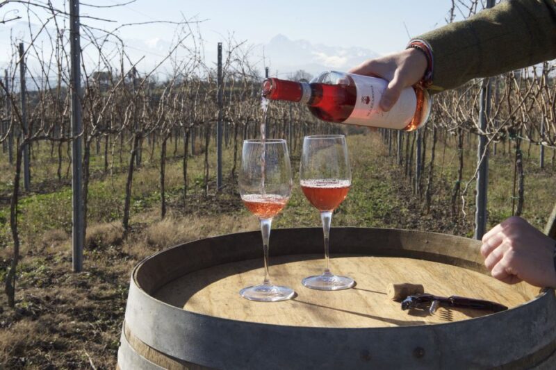 Abruzzo: Historic Cellar Wine Tour and Tasting - Why This Tour Stands Out in Abruzzo