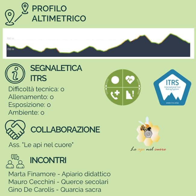 Abruzzo L'Aquila: e-bike tour in the shade of centuries-old oak trees - How the Tour Traverses the Old Town and Countryside