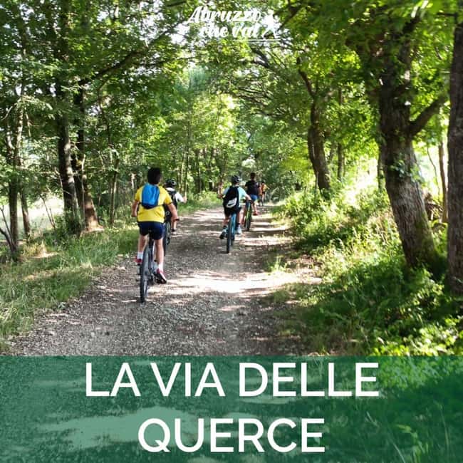Abruzzo L'Aquila: e-bike tour in the shade of centuries-old oak trees - Encounters with Centuries-Old Oak Trees and Local Legends